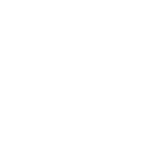 logo-bricum-blanco