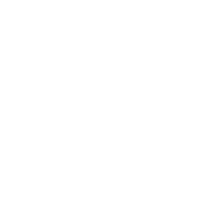 logo-energy-sistem-blanco