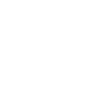 logo-grupo-asv-blanco