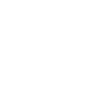 logo-grupo-prim-blanco