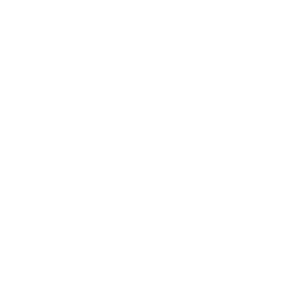 logo-ndl-blanco