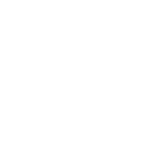 logo-zao-blanco